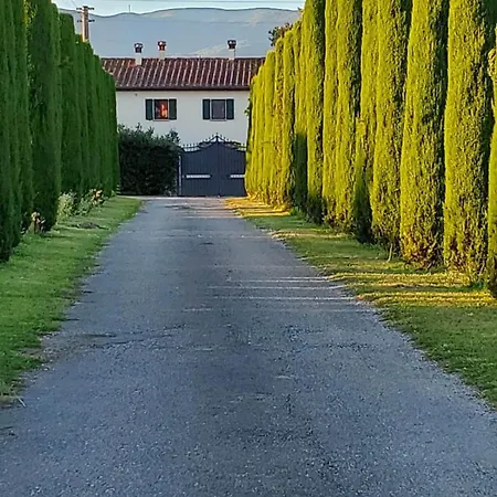 La Maggiatica Pistoia